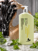 شامپو نعناع بایو پلنت مخصوص موهای چرب 1000 میل | BIO PLANT Mint Shampoo